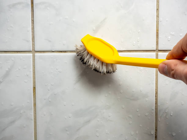 Best Preventive Mold Services in Littlerock, CA