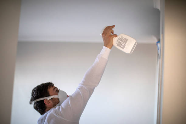 Best Black Mold Remediation in Littlerock, CA
