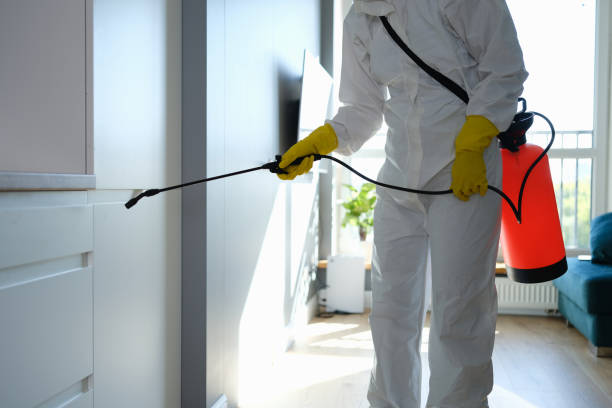 Best Residential Mold Remediation in Littlerock, CA